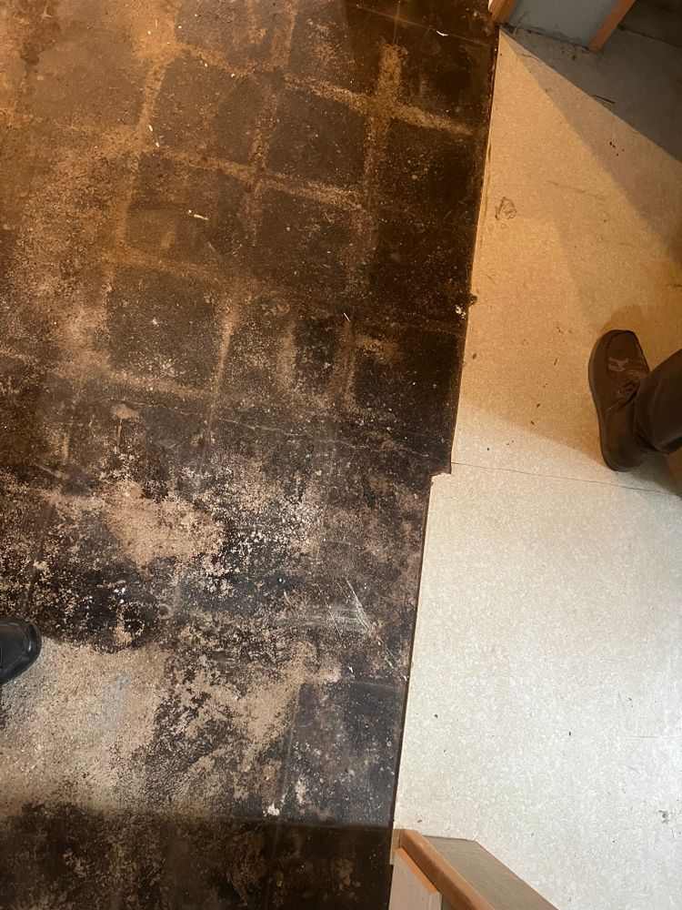 All Photos for Dib 896 Flooring in Dearborn Heights, MI