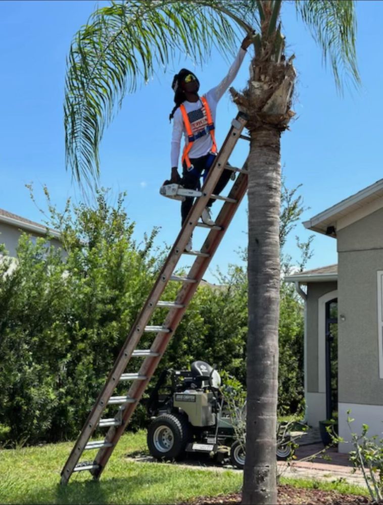 Curtis Tree Service & Landscaping team in Haines City, FL - people or person