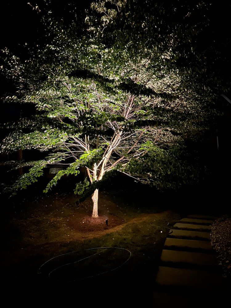 All Photos for Unique Outdoor Lighting in Short Hills, NJ