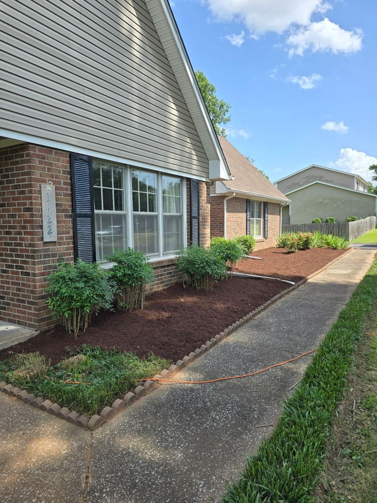 Before and after  for Optimum Tree Service And Landscaping in Bowling Green, KY