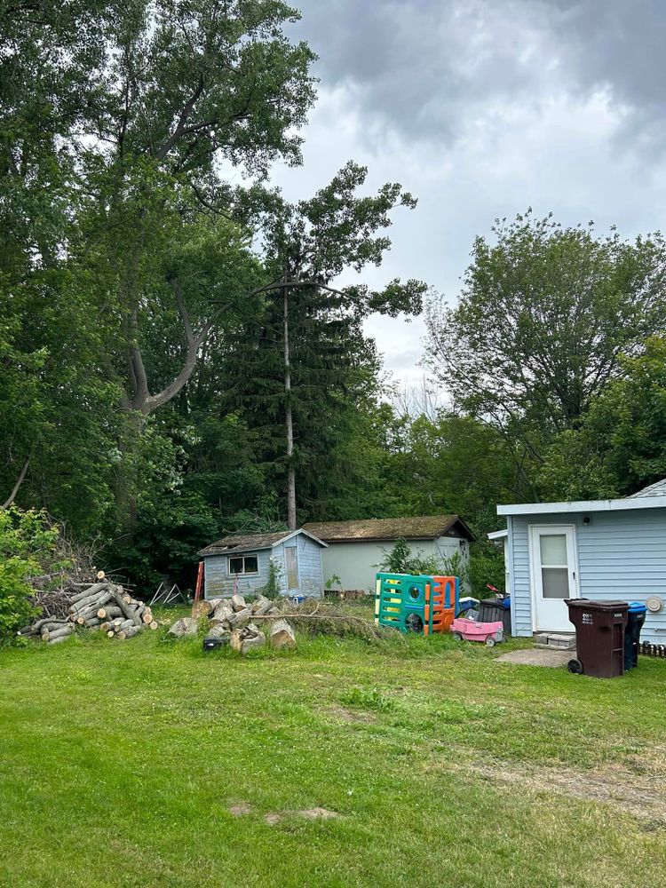 Tree Removal for S.H. Tree Service LLC in Hilton, NY