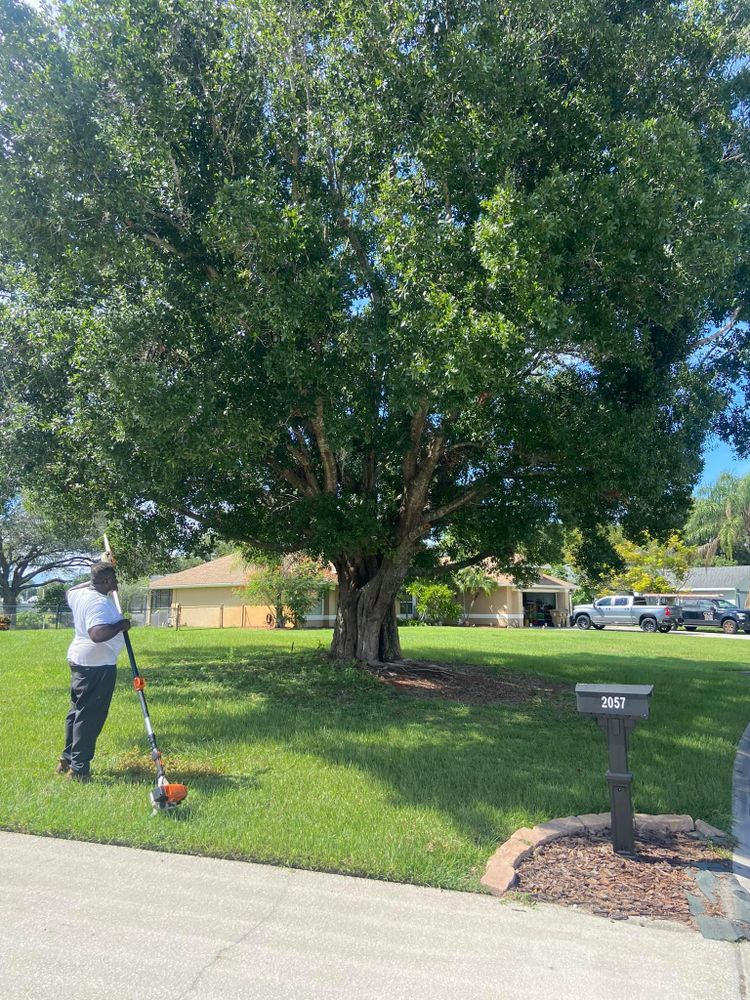 Fall and Spring Clean Up for Efficient and Reliable Tree Service in Lake Wales, FL