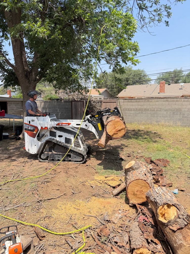 All Photos for Stone's Tree Services and Landscaping in Midland, TX