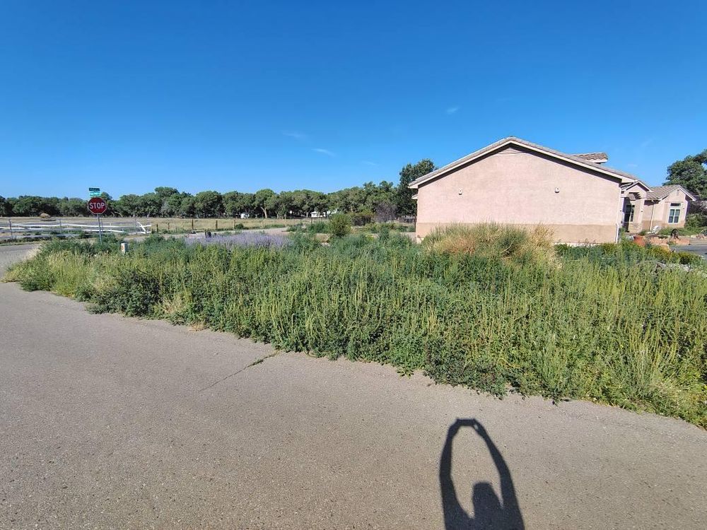 All Photos for 2 Brothers Landscaping in Albuquerque, NM