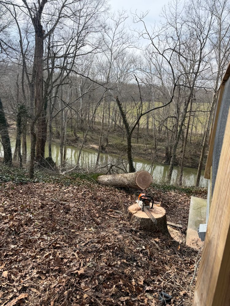 All Photos for Kadin’s Tree Service in North Vernon, IN