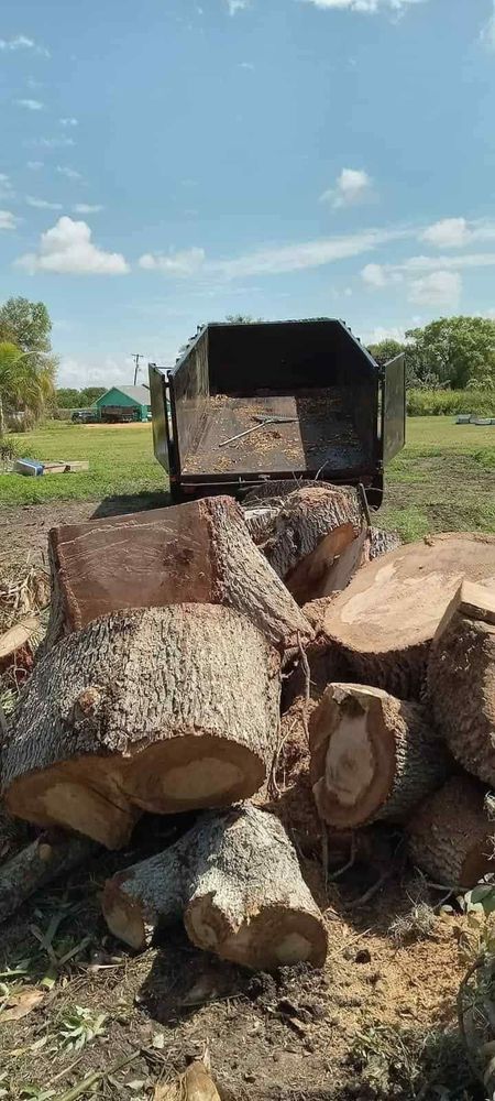 Our Tree Removal service ensures safe, efficient removal of unwanted or hazardous trees from your property, using expert techniques to protect your landscape and enhance the safety and aesthetics of your home. for Highlands Tree Service LLC in Avon Park, FL