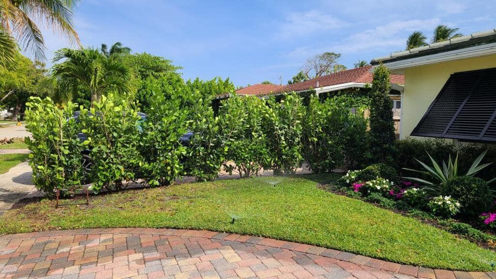 All Photos for Rey Landscaping & Lawn service LLC in West Palm Beach,  FL