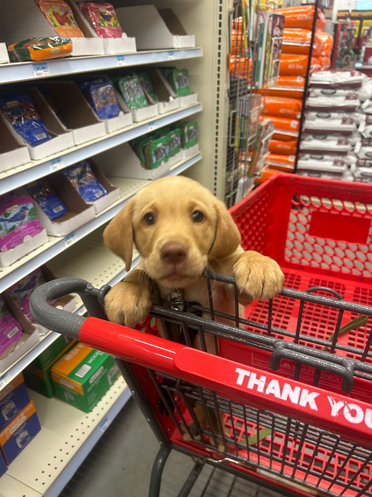 All Photos for The Gravel Guy in Blairsville, GA