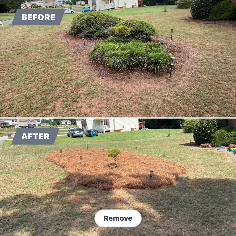 All Photos for Prime Lawn LLC in Conyers, GA