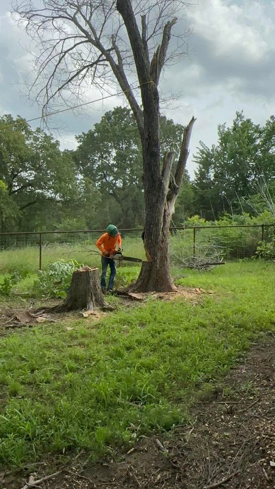 Our professional Tree Removal service safely and efficiently eliminates unwanted trees from your property, enhancing safety, aesthetics, and overall landscape health. Contact us today for a free consultation. for Teague Trees & Landscaping in Rendon, TX