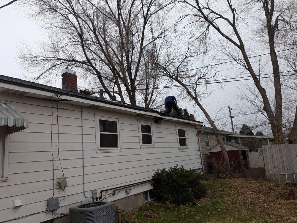 Tree Removal for Portneuf Valley Tree Service in Pocatello, ID