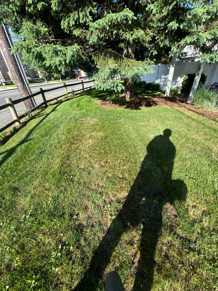 All Photos for Lucas Property Maintenance LLC in New Bedford, MA