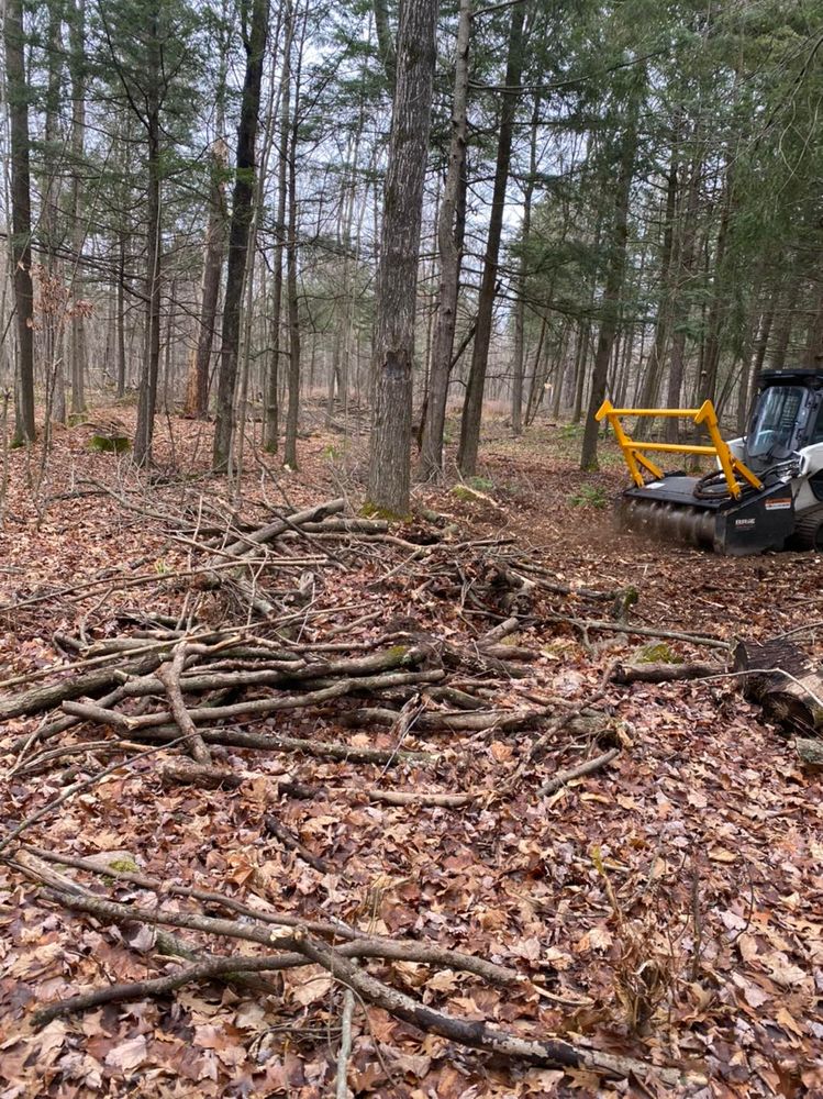 Land Clearing for Brush Busters in Wausau, WI