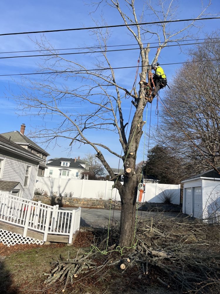 All Photos for Evolution Landscaping and Construction  in Charlestown, RI