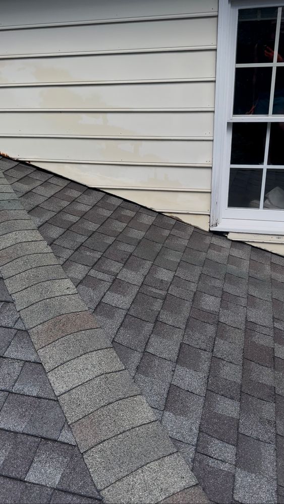 All Photos for LeafTide Solutions in Richmond, VA