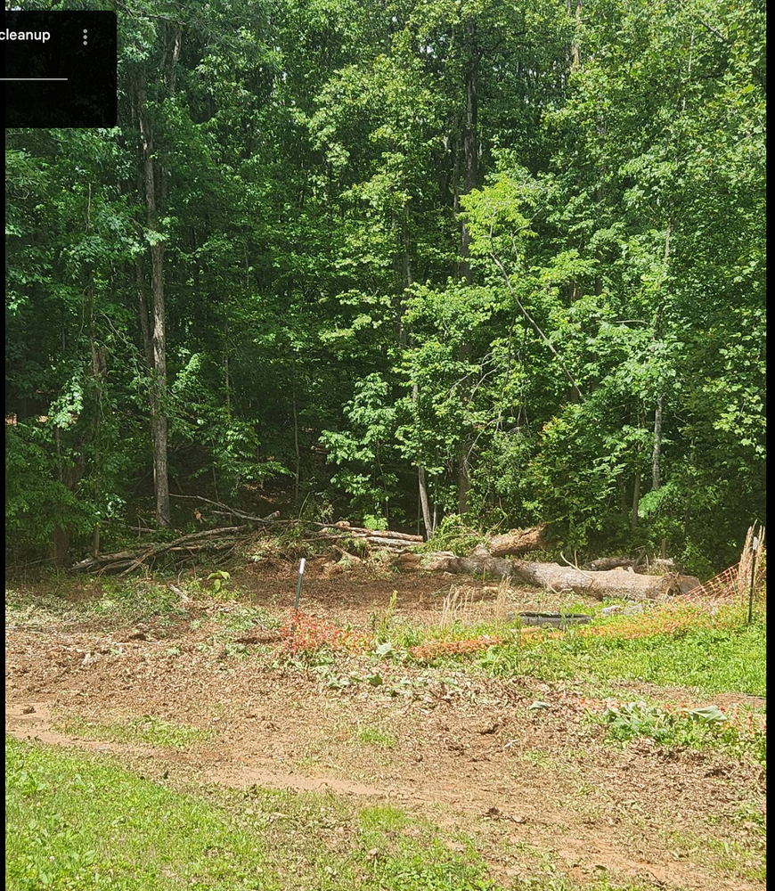 All Photos for Hamlett Tree Service LLC in Clover, VA