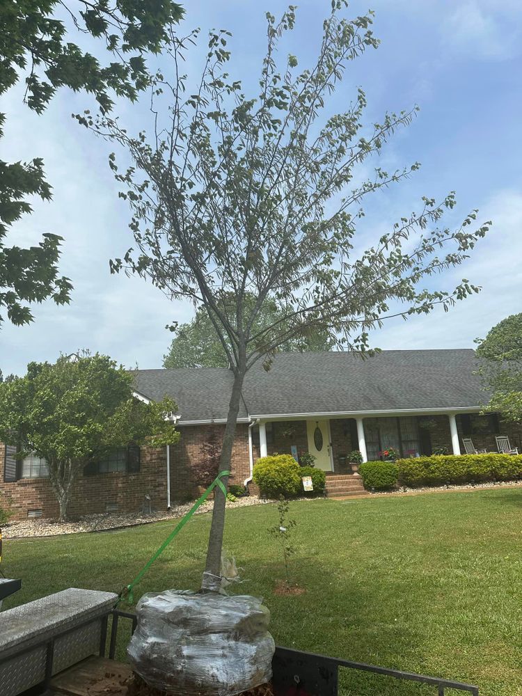 Discover the array of additional services available at our lawn care company to enhance your outdoor space. From landscaping and irrigation to tree removal, we've got you covered! for Tactical Lawn Maintenance in  Murfreesboro ,  TN