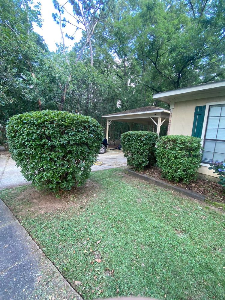 All Photos for Johnson Lawn Care in Mobile, AL