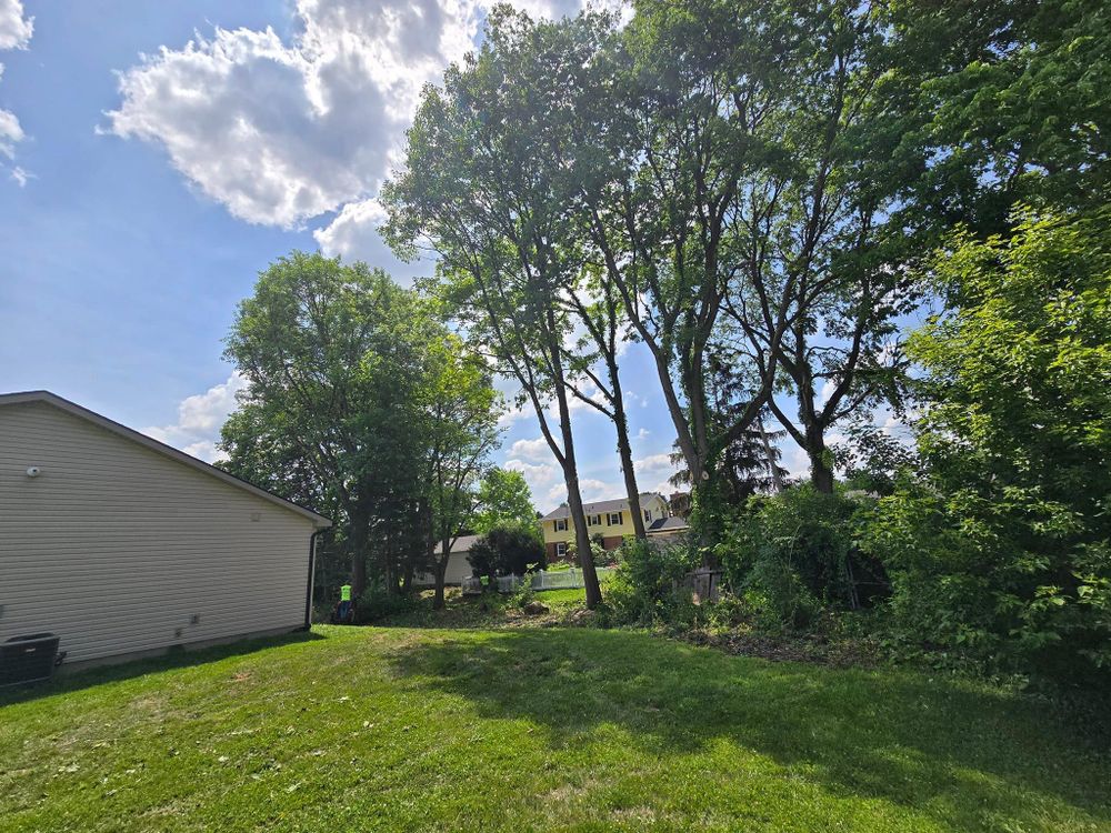 All Photos for F & F Tree Service in Beavercreek, OH