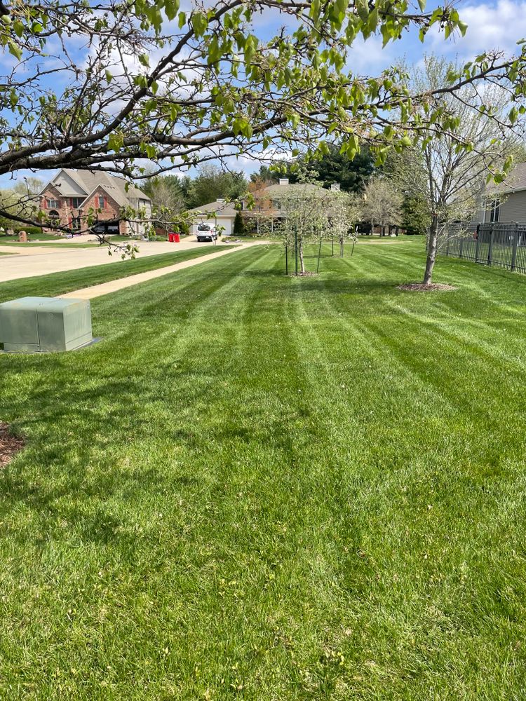 All Photos for MDR Landscaping in Urbana, IL