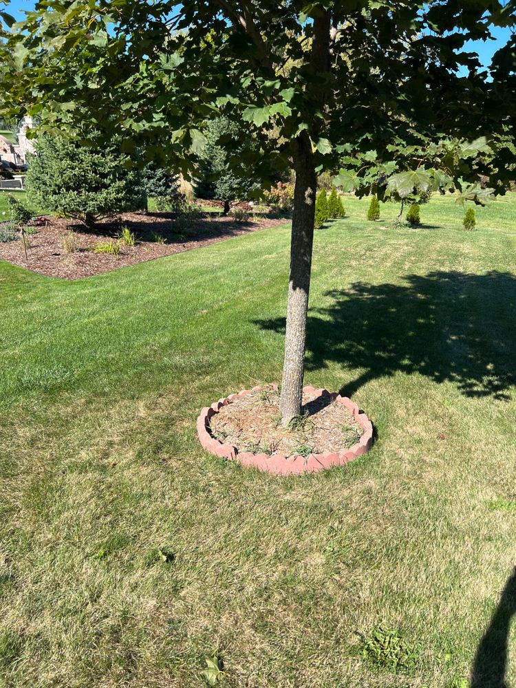 Lawn Care for Trim Seasonal Services in Milwaukee, WI