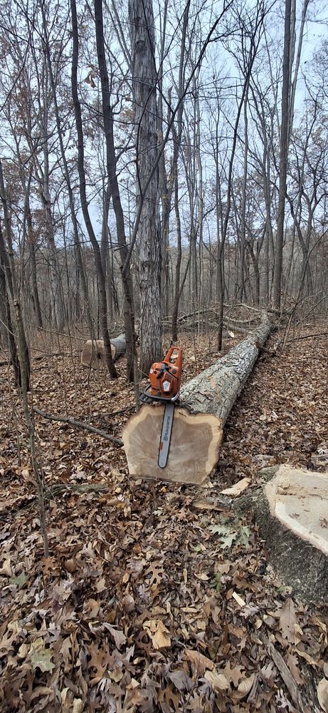 All Photos for God's Country Timber Management in Hillsdale, MI