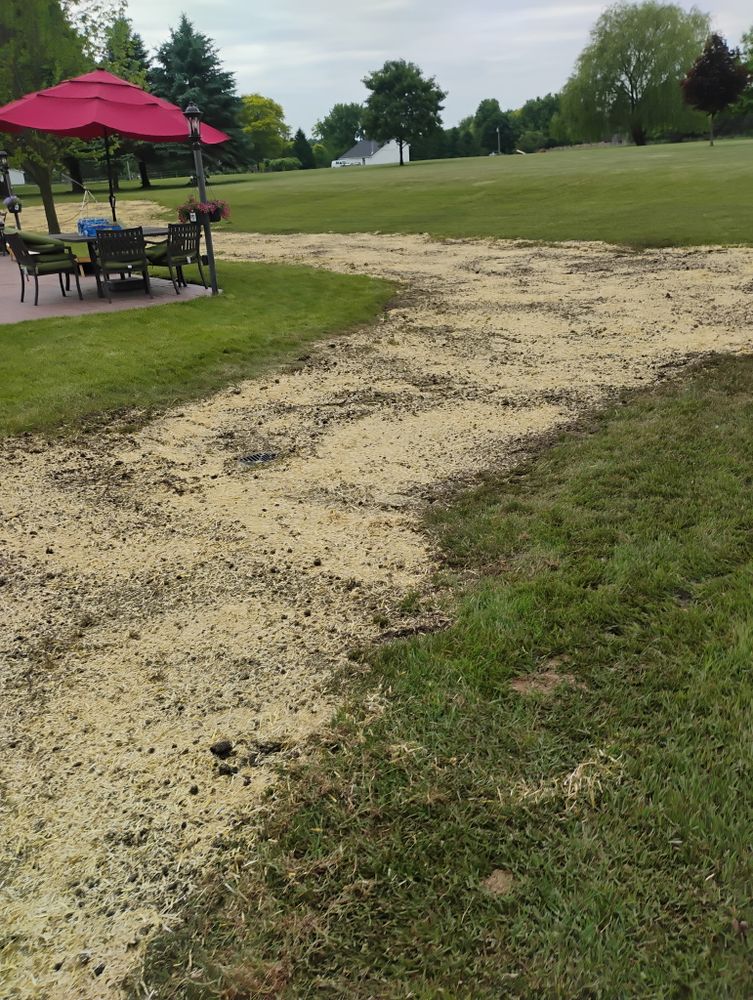 All Photos for Lighthouse Lawn Care and Irrigation in Marysville, MI