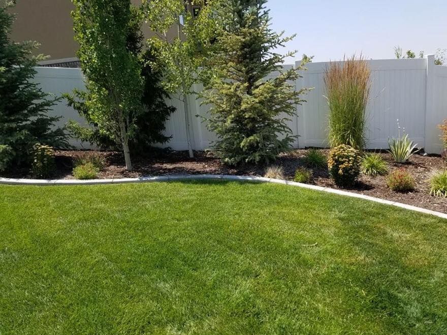 Lawn Aeration for Sierra Landscape in Tustin, CA