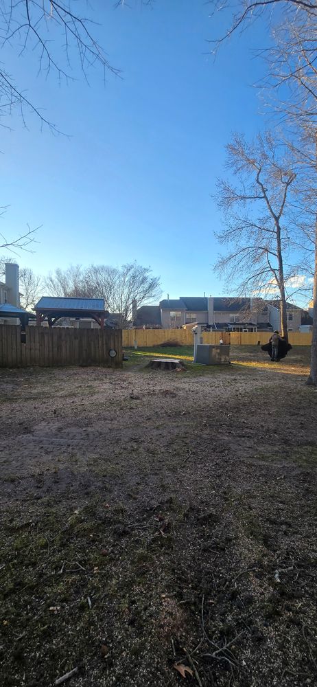 All Photos for Beach Tree Care in Virginia Beach, VA