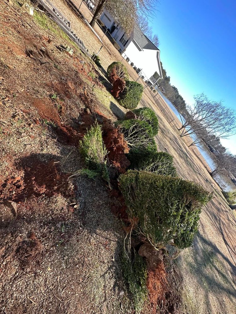 Enhance your home's curb appeal with our expert shrub trimming service. Our skilled team ensures precise, healthy cuts for vibrant growth and beautifully shaped shrubs, tailored to complement your landscape's unique design. for Jameson’s Landscaping & Pressure Washing in Eatonton, GA