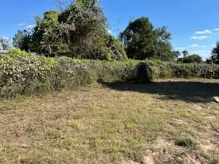 All Photos for Oviedo Land & Garden in Bastrop, TX