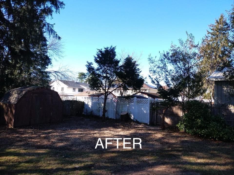 All Photos for Jason's Tree Service in Marlton, NJ