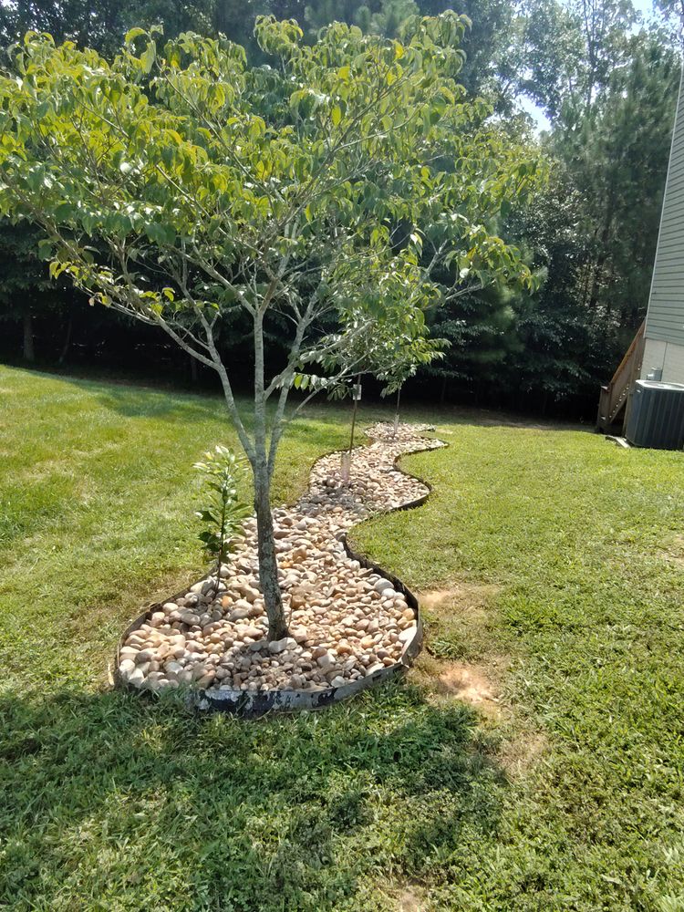 Fall Clean Up for Noel Velazquez Landscaping  in Williamsburg, VA