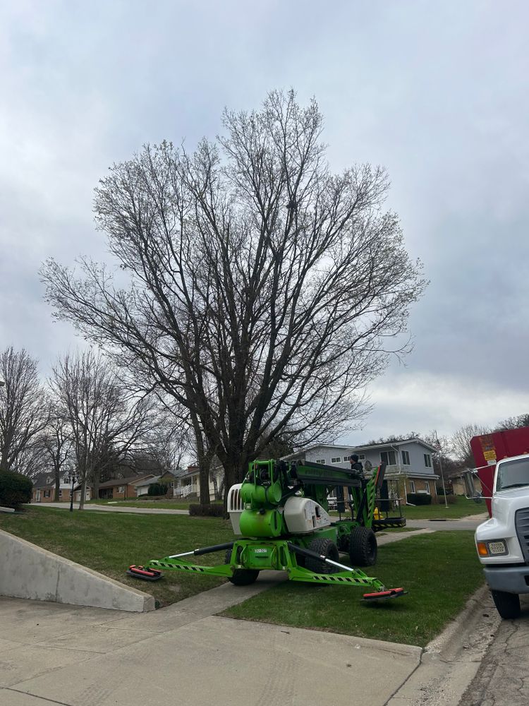 All Photos for Fransen's Tree Service  in Freeport, IL