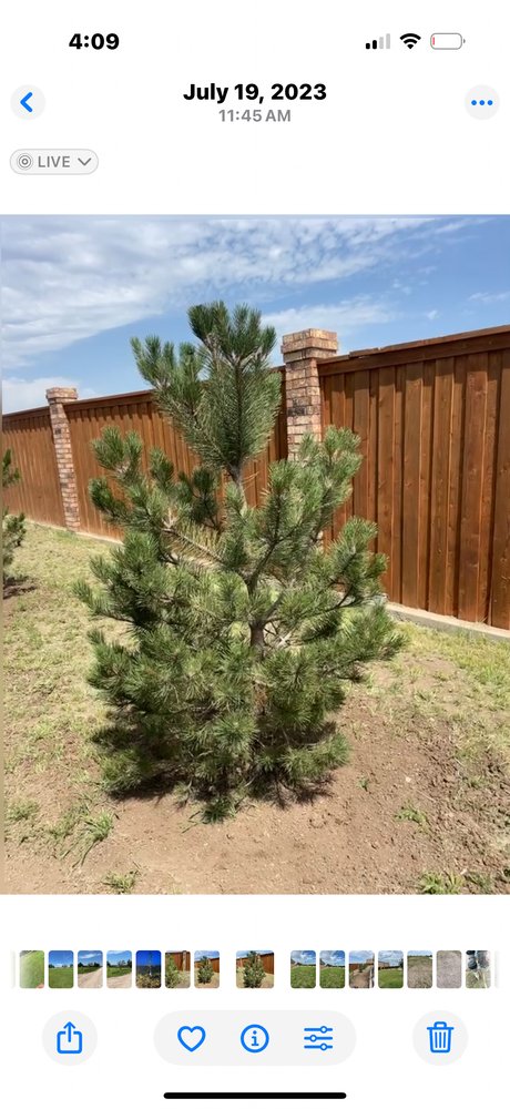 All Photos for R&J Hydromulch in Booker, TX