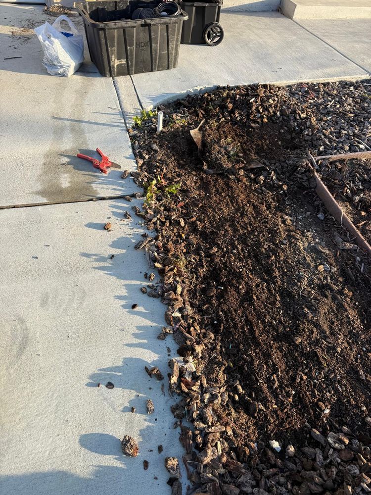 All Photos for CBA Landscaping in Hayward, CA