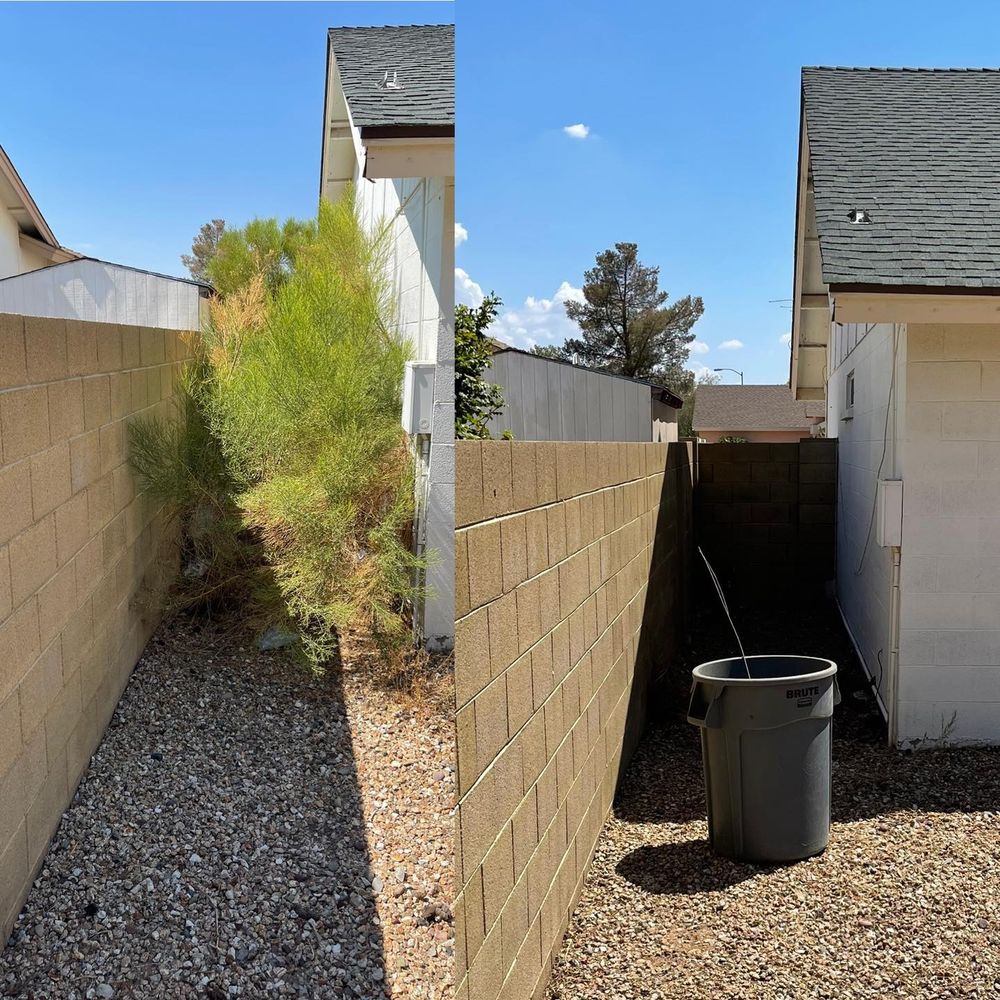 Commercial Lawn Maintenance for American Dream Landscape Company in Surprise, AZ