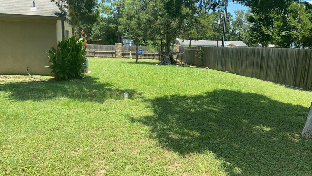 Lawn Care for Chandler Landscaping in Bastrop, TX