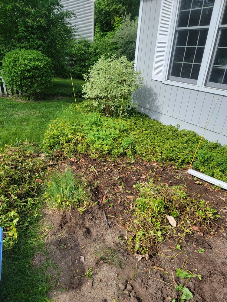 All Photos for Sweet Scapes in Ballston Spa, NY