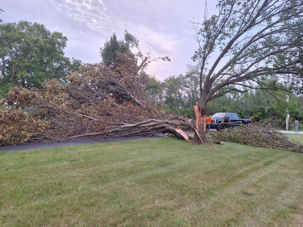 Emergency Storm Work for Highborn Tree Service in Wheatfield, IN