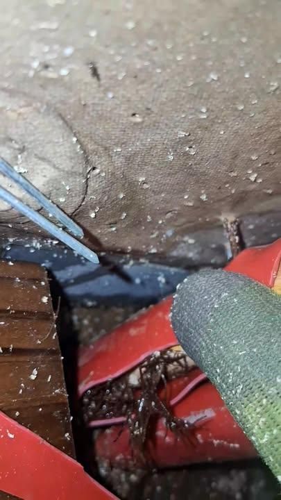 All Photos for Bomar Construction  in Olive Branch, MS