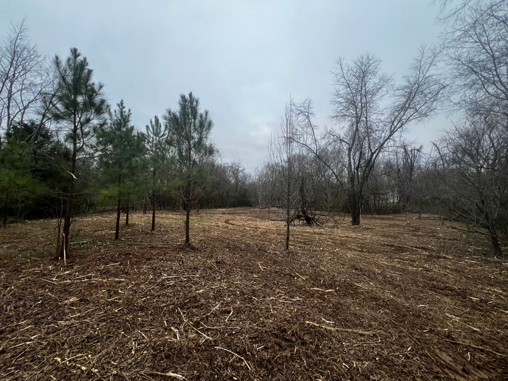 All Photos for Michael Way Acres in Woodlawn, TN