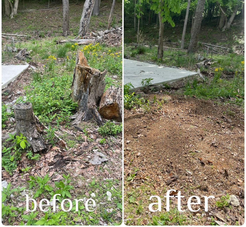 Stump Removal for H&H Stump Grinding in Chillicothe, OH
