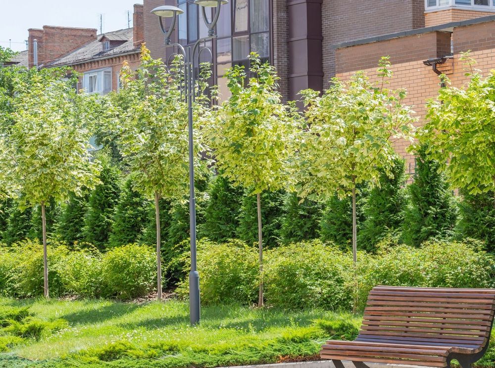 Our Commercial Tree Care service offers expert maintenance and health solutions for the trees around your property, ensuring safety, enhancing aesthetics, and increasing value with professional care from certified arborists. for Alpers Tree Services in Cleveland, TX