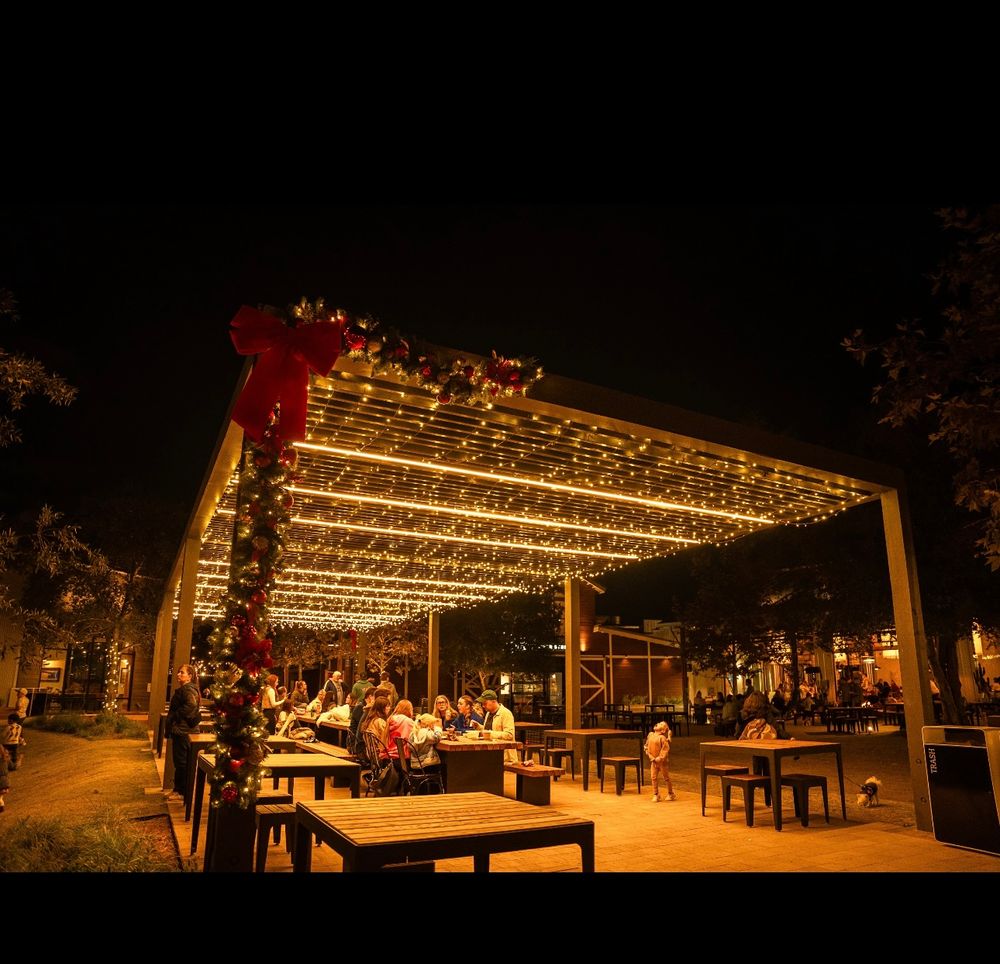 Holiday Lighting for Elite Shine Property Services: The #1 Choice for Window & Exterior Cleaning in South OC in Orange county, CA