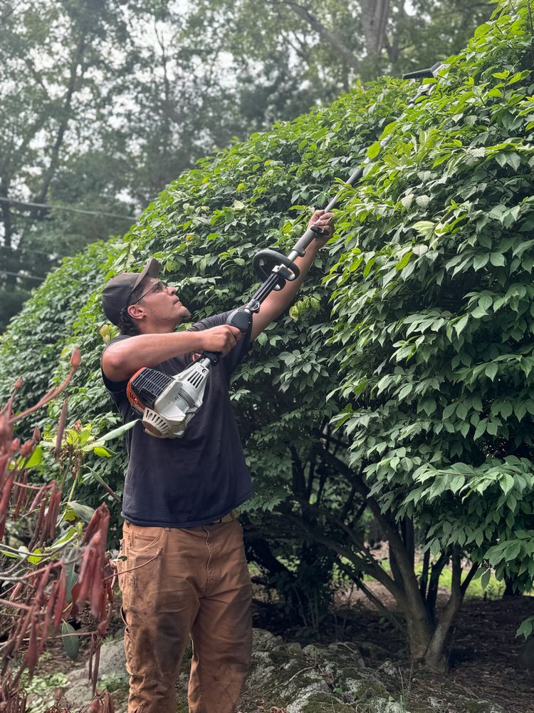 Landscape Maintenance for Ace Landscaping in Trumbull, CT