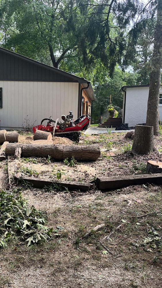 Our Storm Cleanup service swiftly removes fallen trees and debris from your property, ensuring safety and restoring order. Trust our expert team for efficient, reliable cleanup after any storm event. for Pedro's Tree Removal in Charlotte, NC