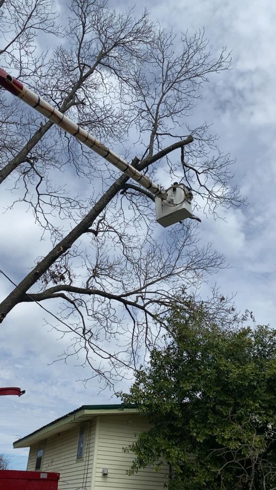 All Photos for Jeff’s Tree Service in Southside, AL