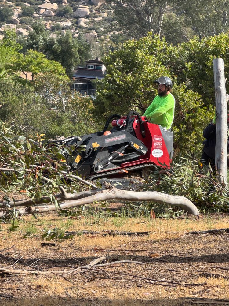 Tree Services for The Tree Fairy in Julian, CA