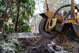 Our Stump Removal service efficiently eliminates unsightly stumps from your yard, enhancing beauty and safety. Using specialized equipment, we ensure thorough removal with minimal disruption to surrounding landscape. for JMC Solutions in Arlington, TX